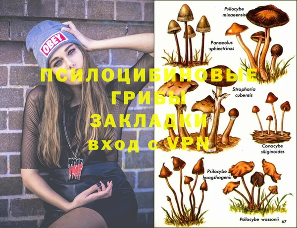 ешки Куйбышев